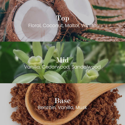 M&SENSE Natural Soy Candle| Vanilla Sandalwood | 16.6 oz, 95H Burn | Minimalist Scented Candle for Relaxation, Gifting, Home Décor | for Bedroom, Office, Party Large