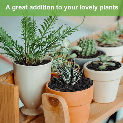 2.5lbs Lava Rocks for Plants, 1/5 Inch Black Gravel for Succulent, Cactus, Bonsai Tree, Pure Volcanic Rocks, Top-Dressing, Good Drainage