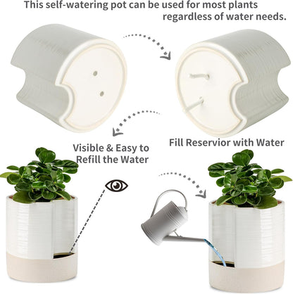 Nihow Self Watering Plant Pot: 8 Inch Ceramic Planter with Drainage Hole & Water Storage Plus for Indoor & Outdoor Plants - Cylinder Round Flower Pot for Succulent/Herbs/Violets - Cream White & Brown
