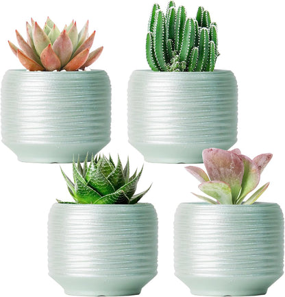 Mini Succulent Planter Set – 3.7 Inch Ceramic Pots with Drainage for Indoor Plants, Small Decorative Flower Pots for Cactus and House Plants, Set of 4