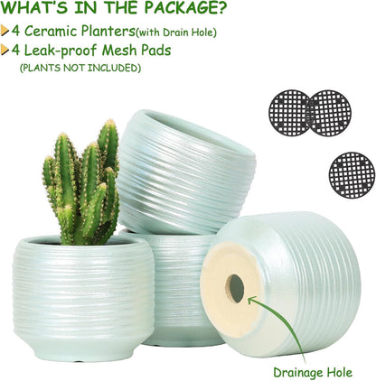 Mini Succulent Planter Set – 3.7 Inch Ceramic Pots with Drainage for Indoor Plants, Small Decorative Flower Pots for Cactus and House Plants, Set of 4
