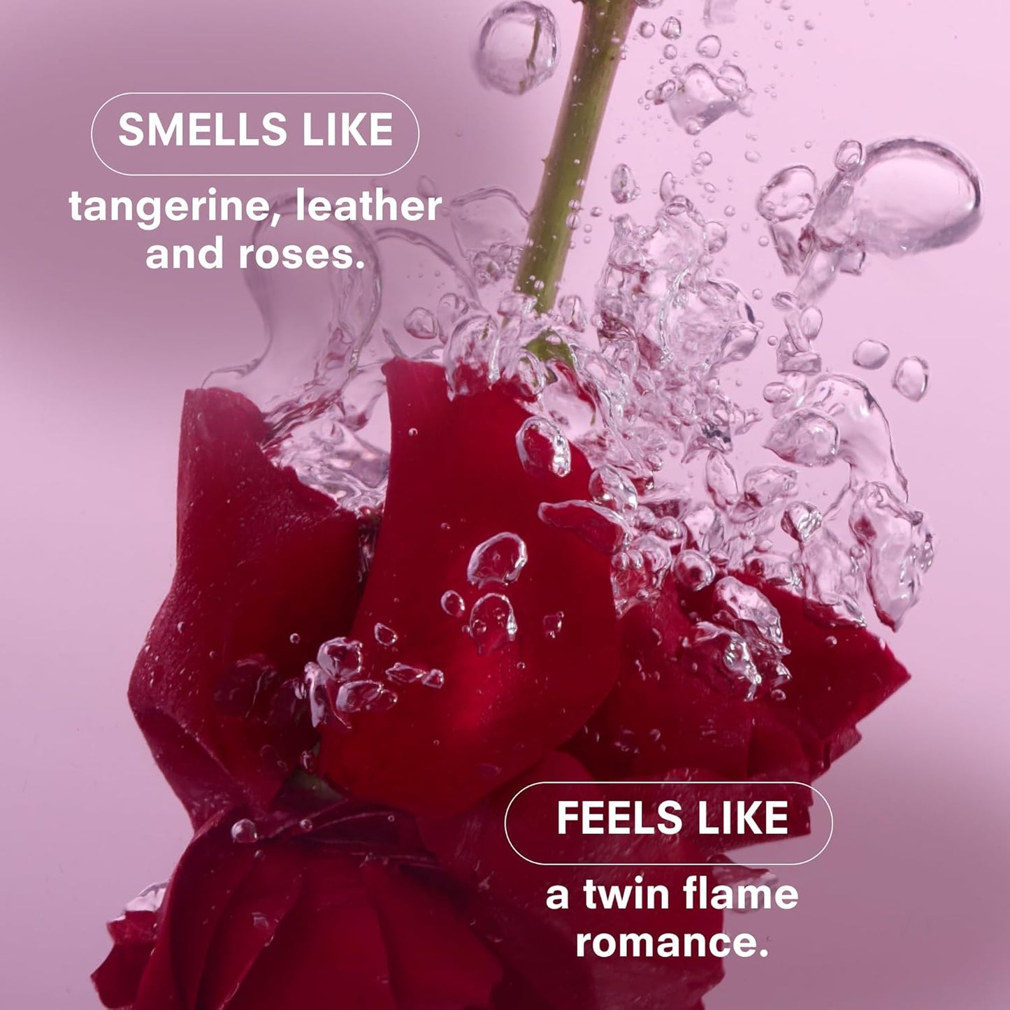 Boy Smells Rosalita Rose Scented Candle - 8.5 oz - Luxury Candle with Leather and Tangerine - Up to 50-Hour Burn - Cotton Wick