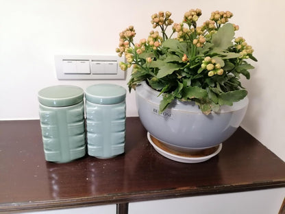 UNESCO Heritage Longquan Celadon Tea Canister Set - Dual Ceramic Jars, 900ml Airtight Storage with Plum Green & Powder Blue Glazes | Elegant Chinese Craftsmanship