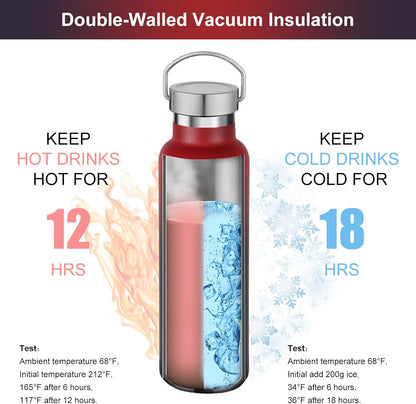 Neihepal 20 oz Insulated Water Bottles Bulk 2 Pack,Stainless Steel Double Wall Sport Bottle with Lid of Handle,Metal Reusable Thermoses Flask for School,Cyclists,Hikers,Gift (Dark Rainbow,Set of 2)