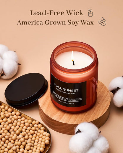 M&SENSE Baltic Amber Scented Organic Soy Wax Clean Non Toxic Candle, Cotton Wick 7.05oz Up to 50 Hours Burn Time, Housewarming Candle for Home Scented
