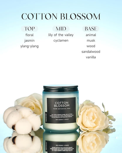 M&SENSE Clean Cotton Scented Candle - 7.05oz Natural Soy Wax Clean Cotton Blossom Scent Non Toxic Candle, 50-Hour Slow Burning 2-Wick Aromatherapy Home Fragrance Gifts for Home Decor