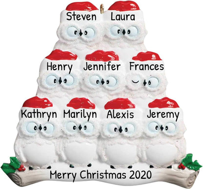 3D Owl Family of 9 Christmas Ornament 2025 Personalized Family Christmas Ornaments 2025 | White Holiday Keepsake Personalized Tree Ornaments Customizable Gifts Woodland Owls of Nine Ornament Holly