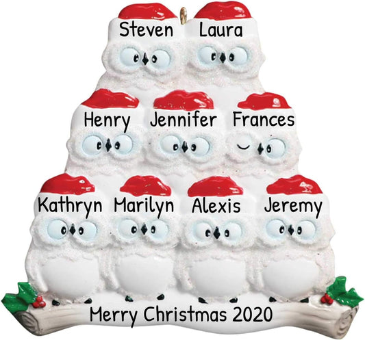 3D Owl Family of 9 Christmas Ornament 2025 Personalized Family Christmas Ornaments 2025 | White Holiday Keepsake Personalized Tree Ornaments Customizable Gifts Woodland Owls of Nine Ornament Holly