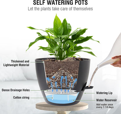 10 inch Self Watering Hanging Planters, 2 Pack Hanging Baskets for Indoor Outdoor Plants, Hanging Flower Pots with Drainage Holes & 2 Kinds of Plant Hangers for Garden Home Decor, Black