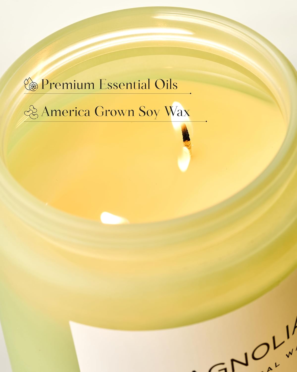 M&SENSE Magnolia Jasmine Romantic Scented Candle, 19.4oz 110 Hours Long Lasting Clean Non Toxic All Natural Soy Wax Candle for Relaxing & Stress Relief, 2 Wick Home Fragrance Gifts for Home Decor