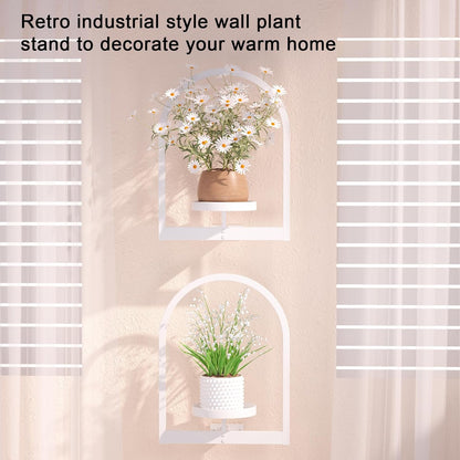 Wall Plant Holder, Wall Planter for Indoor Plants, Window Plant Shelves for Multiple Plants Indoor Outdoor, Framed Plant Holder for Home Decor (2 Pack)