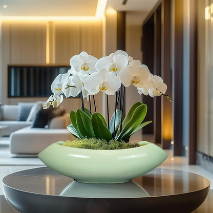 Ceramic Bonsai Pots - Large Succulent Planter 18 Inch Plant Pot Indoor Succulent Pot with Drainage Hole Outdoor Planter Bonsai Tree Pot for House Home Garden Decor Green