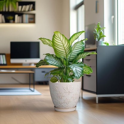 Pots for Plants 10 Inch - Ceramic Planter Large Plant Pot for Indoor Plants Outdoor Round Flower Pot with Drainage Hole and Saucer Home Garden Decor White