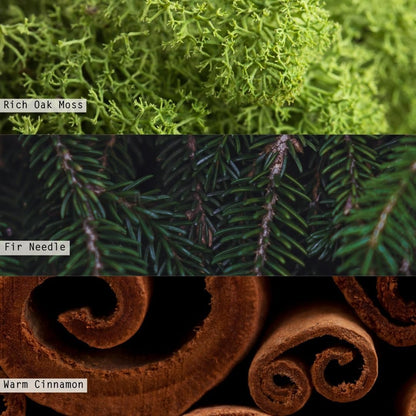 ILLUME Vanity Tin Candle, Balsam & Cedar