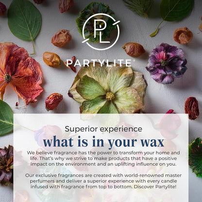 PartyLite 3-Wick Jar Candle, Highly Fragranced Clean Burning Glass Candle, 25-45 Hours Burn Time (Winter Morning)