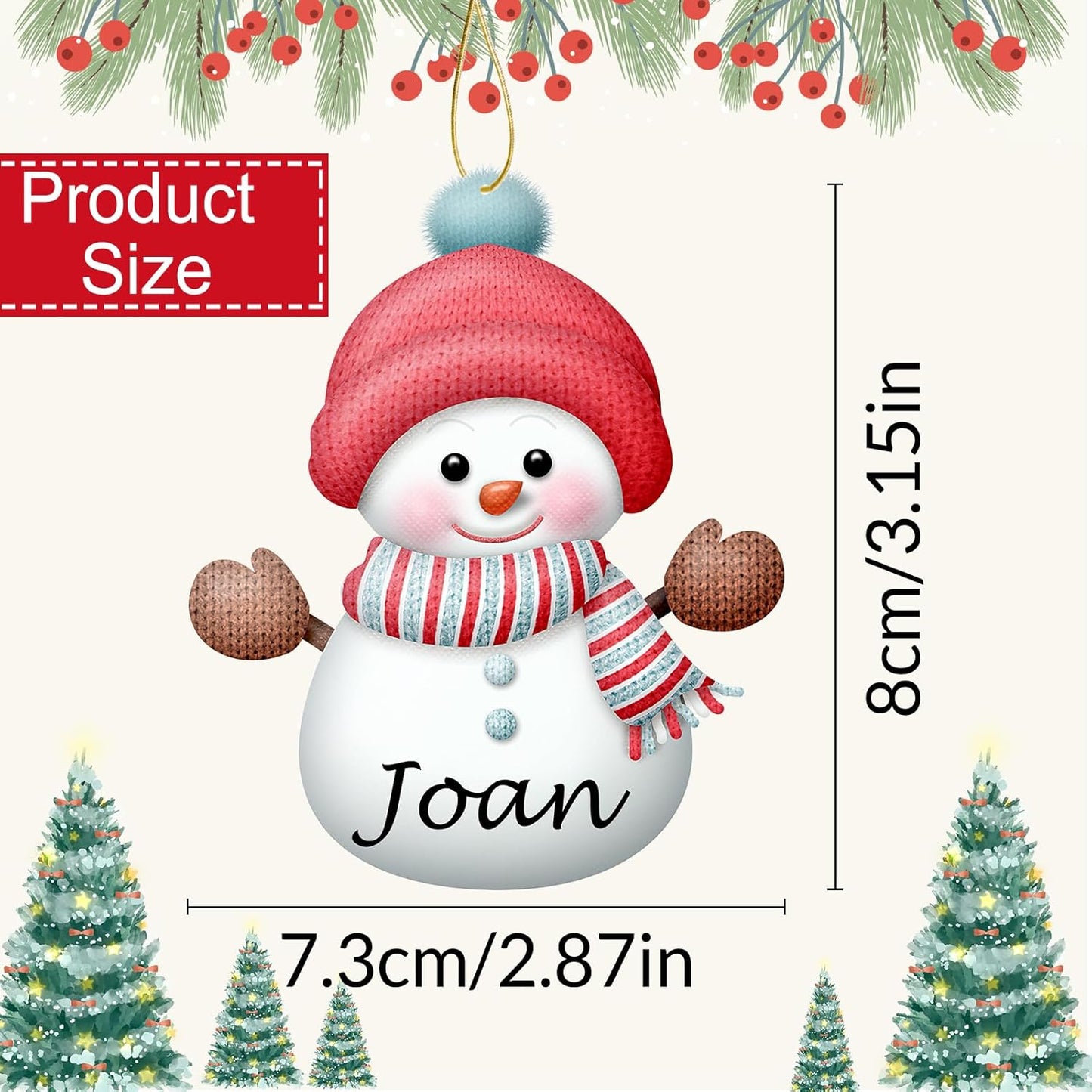 Personalized Christmas Ornaments with Names Snowman Custom Family Ornament Customized Xmas Tree Hanging Wood Decoration Gift 3.15"（8cm） Grey