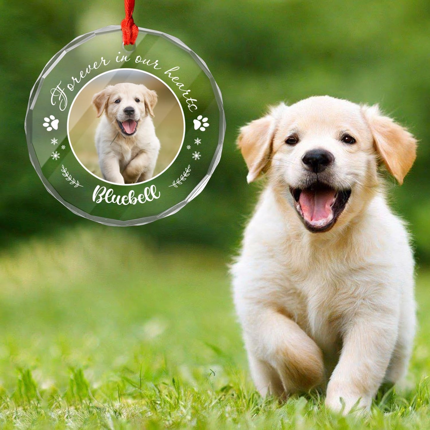 Personalized Pet Photo Ornaments, Dog Cat Custom Crystal Ornaments with Pictures for Pet Owner, Glass Hanging Ornaments Gifts for Children Puppy, Personalized Decorative Hanging Ornaments