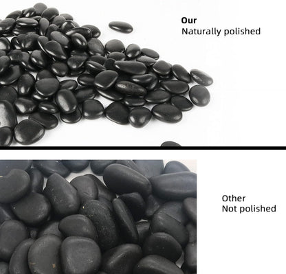 45lb Black Pebbles for Plants,Potting,Succulents Aquarium Fish Tank Vases Decorative Garden Polished Gravel Rocks Stones