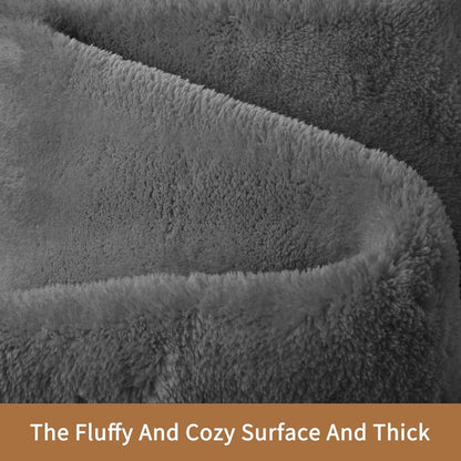 Sour Lemon 5x7 Area Rugs for Living Room, Soft Large Area Rug Fluffy Rugs for Bedroom，Machine Washable Area Rug Non Slip Carpet Rug for Living Room Playroom Kids Room Home Decor