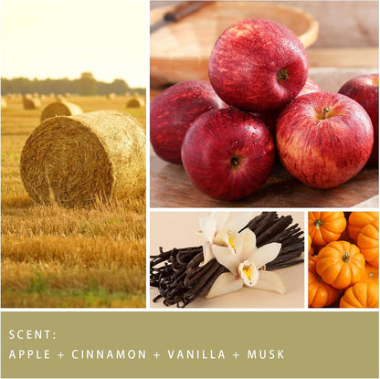 Fall Candle - Harvest Season Scented Candle, Fall Soy Candles for Home Decor, 7 oz Natural Soy Wax – Long-Lasting Autumn Candles, Aromatherapy Gift for Women & Thanksgiving, 7oz