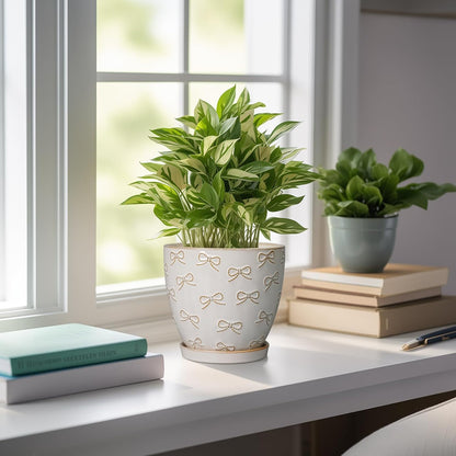 Ceramic Plant Pot 6.9 Inch - Ceramic Planter with Drainage Hole and Saucer Round Planter Flower Pot for Indoor Plants Outdoor Home Garden Office Decor White