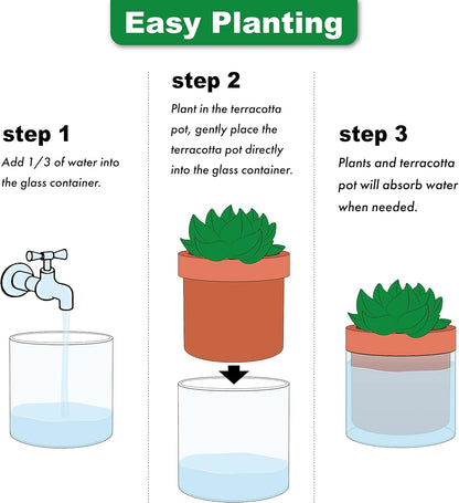 Phoenix Vine 4 Inch Self Watering Planter Pot, Terracotta Clay Pot with Glass Reservoir for Indoor Plants, Herbs, Flowers, Set of 3, 52-A-E-3