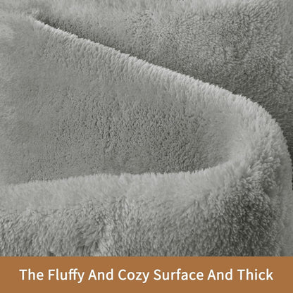 Sour Lemon 5x7 Area Rugs for Living Room, Soft Large Area Rug Fluffy Rugs for Bedroom，Machine Washable Area Rug Non Slip Carpet Rug for Living Room Playroom Kids Room Home Decor