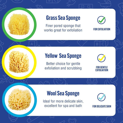 Baby Buddy Natural Bath Sponge, Ultra-Soft Sea Wool, Gentle on Baby's Skin, Hypoallergenic, Biodegradable, 3-Pack, 4in for Baby & Infant Bath Time