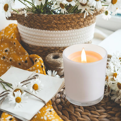 Thick Candle Jars for Making Candles 12 Pcs, 14 OZ Empty Jars with Wood Lids for Candle Making, Sample Container, White