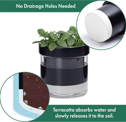Phoenix Vine 4 Inch Self Watering Planter Pot, Black Terracotta Clay Pot with Glass Reservoir for Indoor Plants, Herbs, Flowers, Set of 4, 52-C-E-4