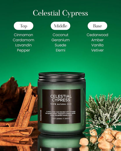 M&SENSE Celestial Cypress Scented Soy Jar Candles, Best Smelling Cedarwood Cardamom Scented Candles 7.05oz 50 Hour Long Lasting Burn, Non Toxic Natural Woody Scent Gifts for Men Women