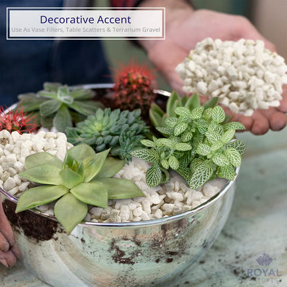 Royal Imports 5LBS River Pebbles Decorative Ornamental Rocks, Garden Landscaping Stones, Gravel Filler for Plants, Vases, Succulents, Home Decor, Aquariums, Crafting, Animal Habitat - Mini White