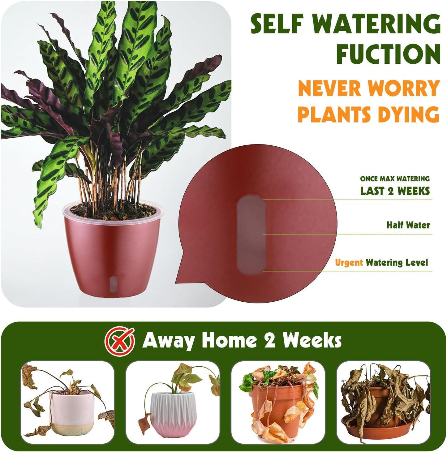 Self Watering Pots for Indoor Plants, 6-Pack 5'' Self Watering Planter with Drainage Holes, Small African Violet Pots with Water Indicator, Clear Wick Orchid Pot, Rose Gold