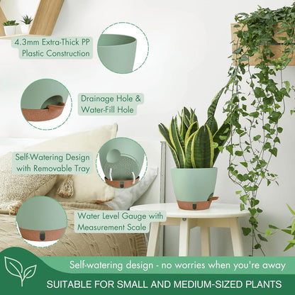 montresor 2 Pack 8 inch Plant Pots, PP Plastic Self Watering Plant Pot with Drainage and Tray for Indoor Outdoor Plants, Water Level Window & Reservoir Flower Pots Decorative Planter (Green)