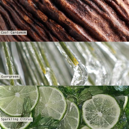 ILLUME Boxed Glass Candle Refill, Winter White