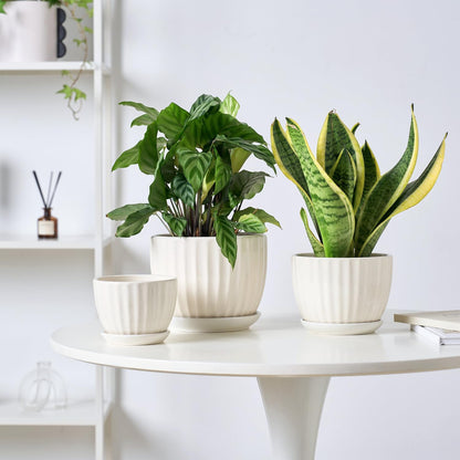 4/5/6 Inches Ceramic Plant Pots with Drainage Holes and Saucers, Round Flower Pots for Indoor Plant, Modern Flower Planters Set of 3 (White-Big Size)