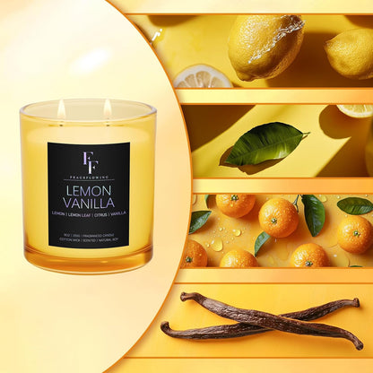 Lemon Vanilla Scented Candle, 2-Wick Luxury Soy Wax Candle, 9 oz Aromatherapy Candle Home Fragrance Candles Gift