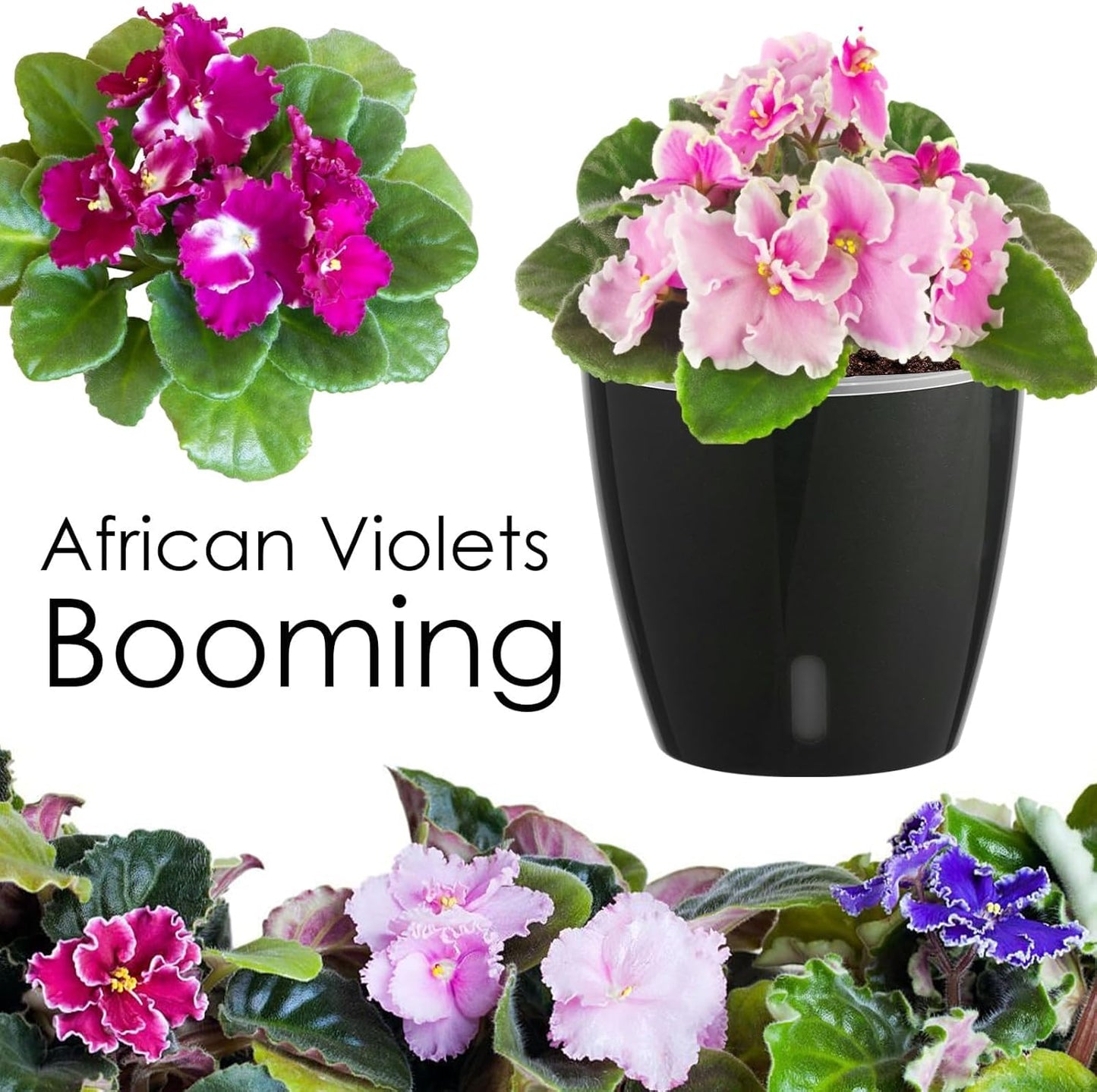 Self-Watering Pots for Indoor Plants, 6-Pack 6.7'' Self Watering Planter with Drainage Holes, Small African Violet Pots with Water Indicator, Clear Wick Pot, Black
