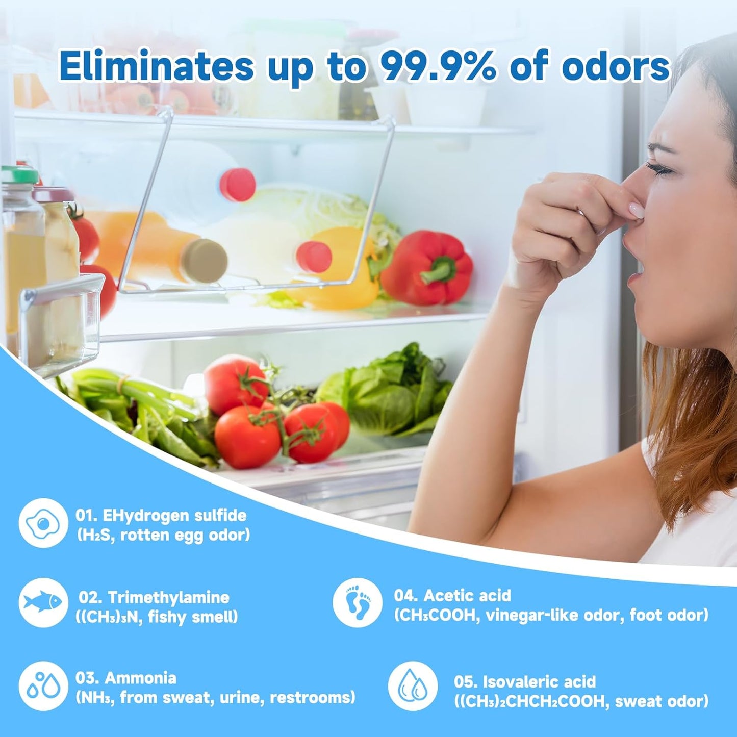 Refrigerator Deodorizer 3 Pack, Natural Plant Fridge Deodorizer More Effective Than Baking Soda, Long-Lasting Odor Eliminator for Refrigerator, Air Freshener for Kitchen, Shoe Cabinet, Pet Areas