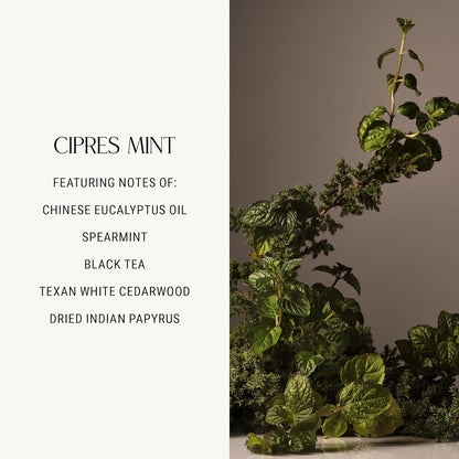 Homecourt Luxury Scented Candle, 60-Hour Burn Time, Soy Wax Blend & Organic Cotton Wick, Kiln-Fired Reusable Ceramic Vessel, Cipres Mint, 8 oz