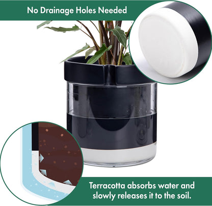 Phoenix Vine 8 Inch Self Watering Terracotta Planter, Black Terracotta Clay Pot with Glass Reservoir for Indoor Plants, Herbs, Flowers, Set of 1, 52-C-H-1