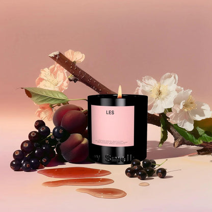 Boy Smells Les Scented Candle for Men and Women, Coconut, Beeswax, & Soy Candle Blend, Aromatherapy Candles for Home, 8.5 oz Jar, 50 Hour Burn