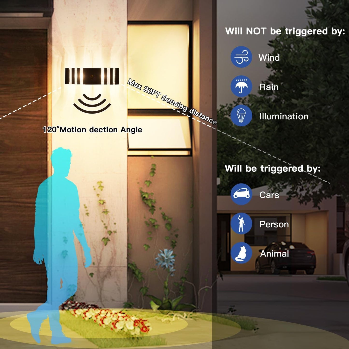 2 Pack Motion Sensor Outdoor Wall Light Fixture Up Down Porch Lights Modern Dusk to Dawn Exterior Sconce Light Wall Mount Outside Coach Lantern for House Front Door Garage (With 4 Dimmable Warm Bulbs)