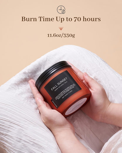 M&SENSE Baltic Amber Scented Candle, 11.6oz Clean Natural Soy Wax Non Toxic Up to 70 Hours Burn Time 2 Cotton Wick Housewarming Candle for Home Scented