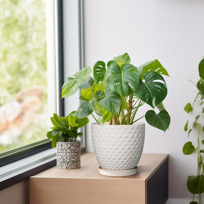 G EPGardening 6 Inch Ceramic Plant Pot with Drainage Hole and Saucer Round Planter Decorative Flower Plant Pot for Indoor Plants Outdoor White