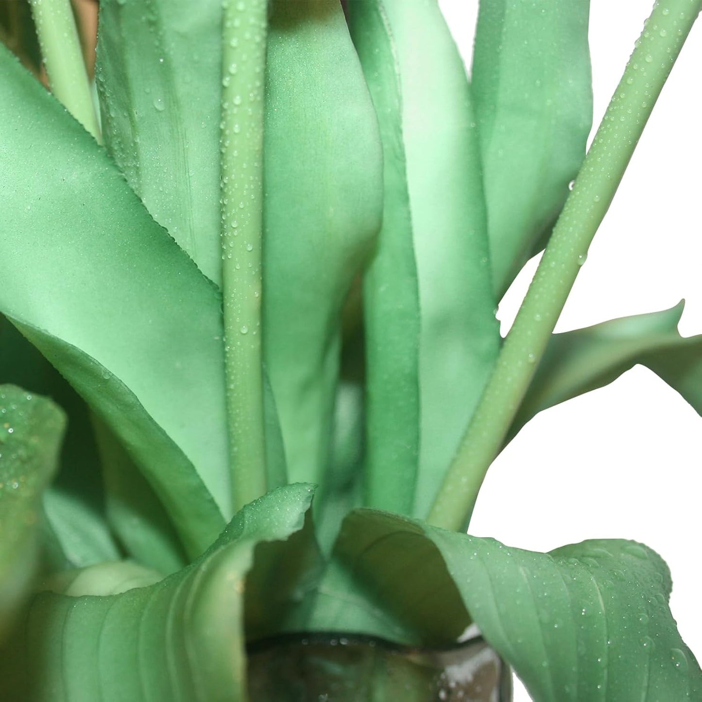 15pcs Artificial Tulips Flowers, Fake Tulips Real Touch, Faux Latex Bouquets, for Party Wedding Home Room Decoration (Purple)