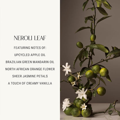 Homecourt Luxury Scented Candle, 60-Hour Burn Time, Soy Wax Blend & Organic Cotton Wick, Kiln-Fired Reusable Ceramic Vessel, Neroli Leaf, 8 oz