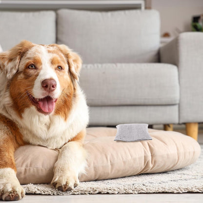 Nuanchu 24 Pcs Activated Charcoal Odor Absorber 50g/100g/200g, Air Purifying Bamboo Charcoal Bags, Natural Shoe Odor Absorber, Deodorizer Absorbers for Fresh Car Home Closet Pet Basement Smell(Grey)