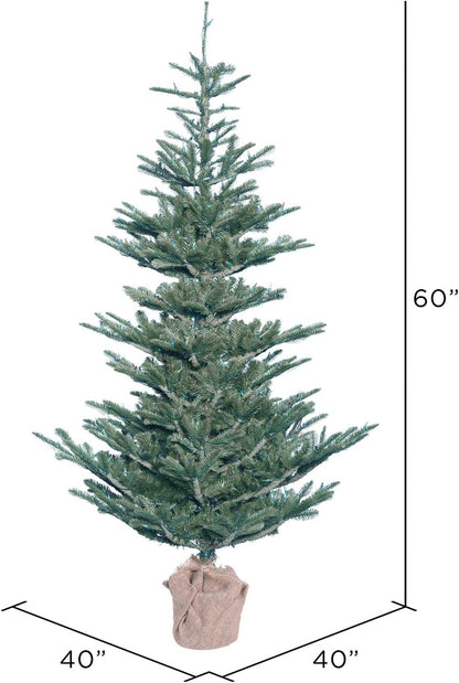 Vickerman G160450 Alberta Blue Spruce Christmas Tree