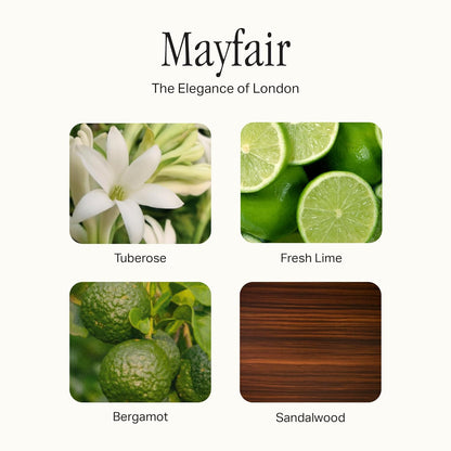 The Scented Candle, Luxury Candle with Vegan, Soy Wax Blend, Mayfair, 7.5 Oz